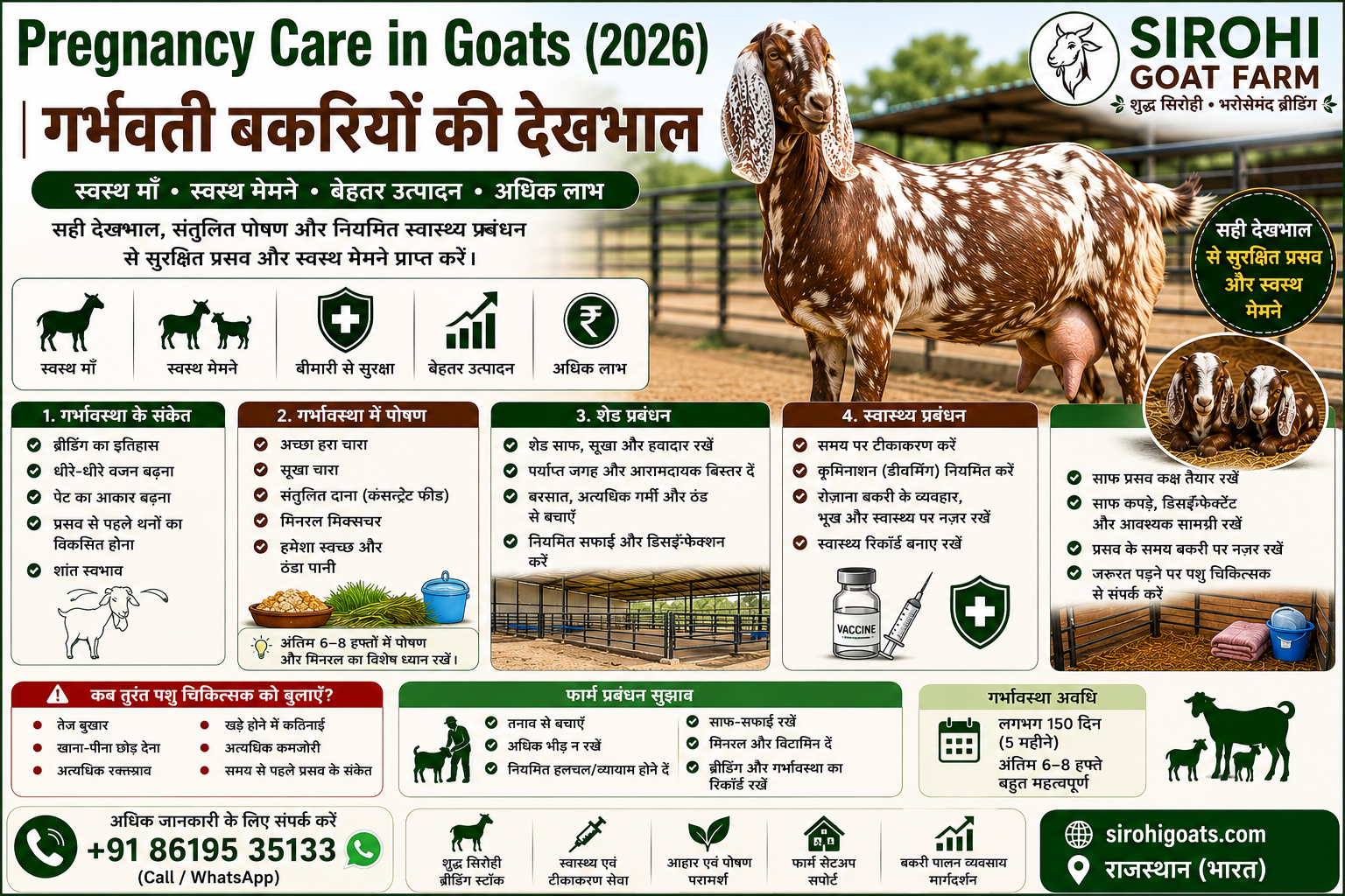 Pregnancy Care in Goats (2026) | गर्भवती बकरियों की देखभाल