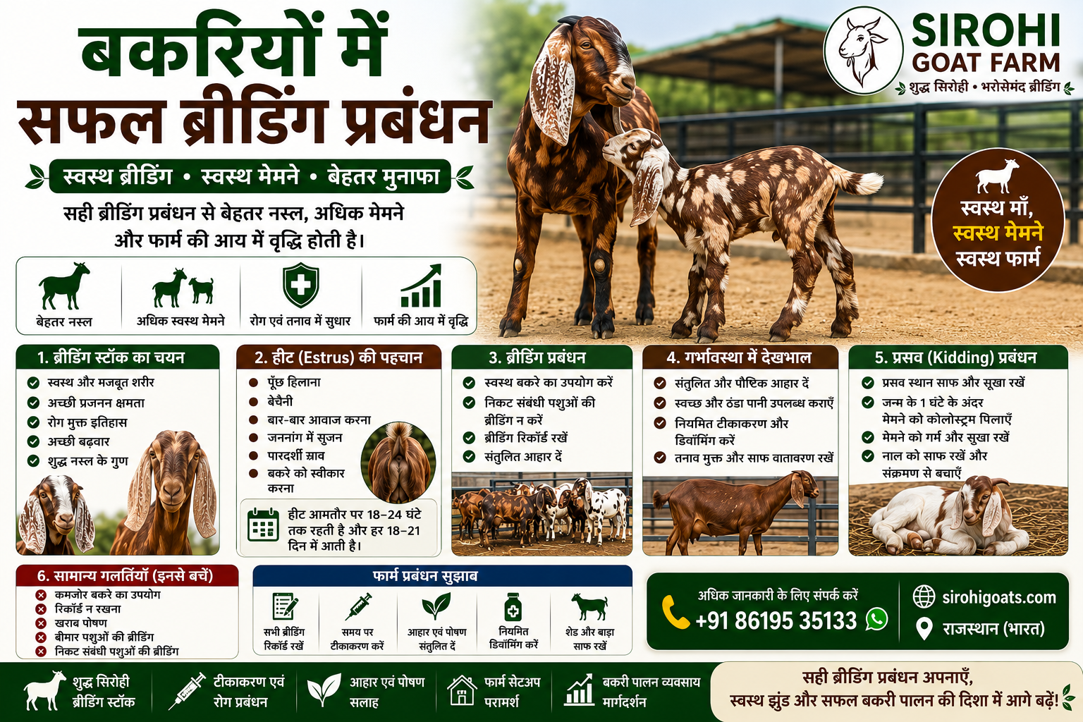 Goat Breeding Management (2026) | बकरियों में सफल ब्रीडिंग प्रबंधन