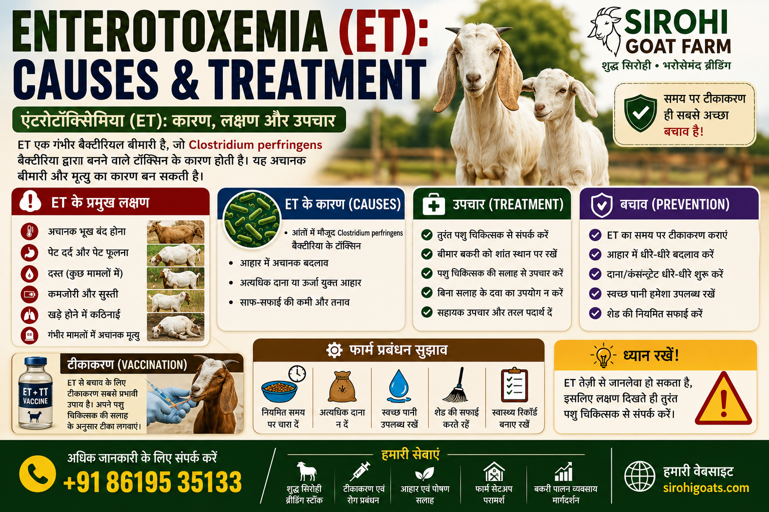 Enterotoxemia (ET): Causes & Treatment (2026) | एंटरोटॉक्सिमिया (ET): कारण, लक्षण और&nbsp;उपचार