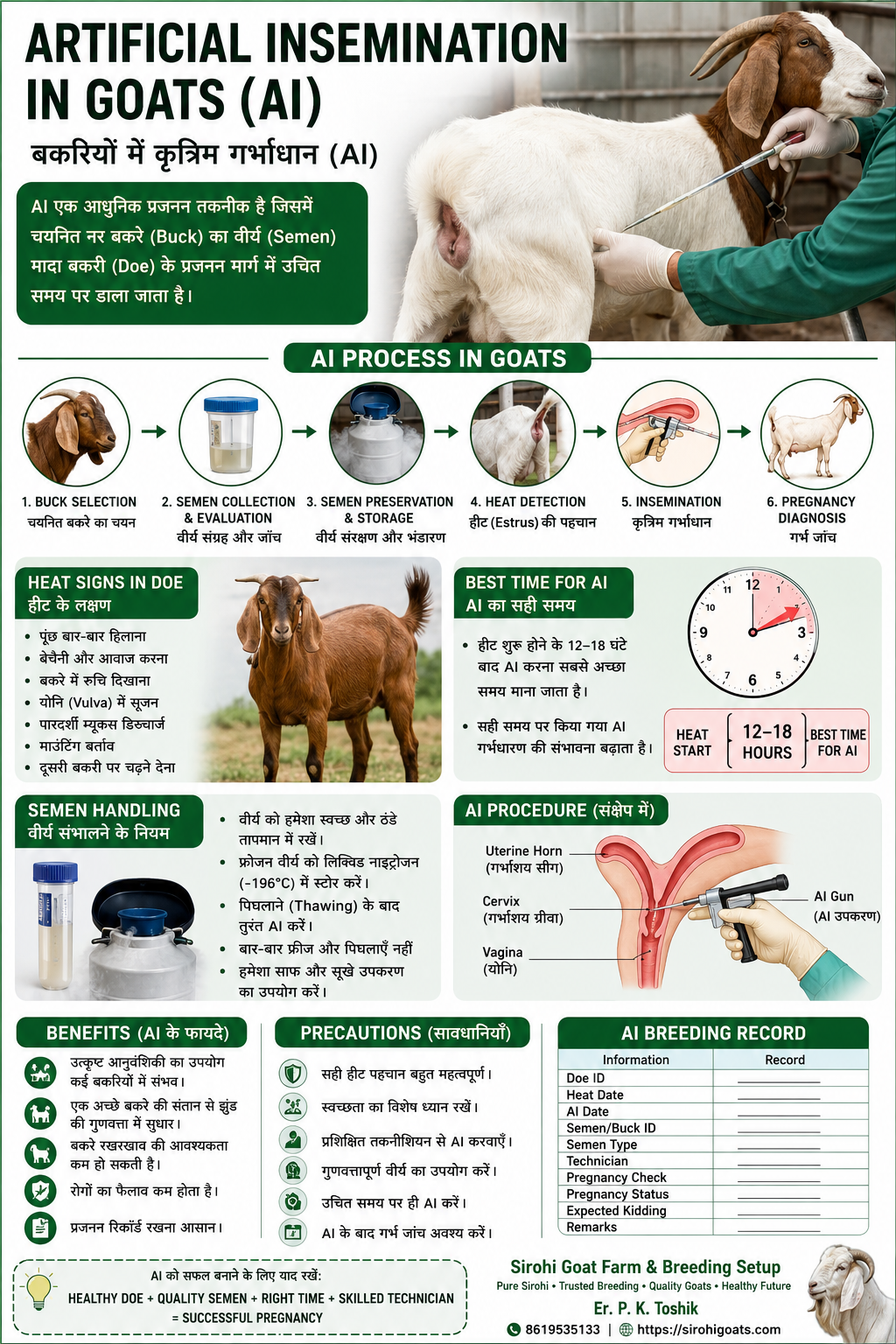 🐐 Artificial Insemination in Goats | बकरियों में कृत्रिम गर्भाधान की पूरी Guide